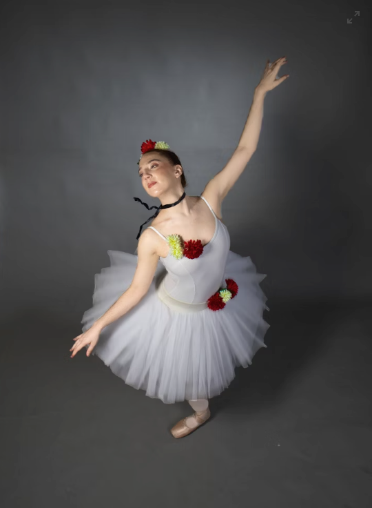 Screenshot-at-Oct-31-07-48-27 Breve História do Tutu: Da Era Romântica aos Dias de Hoje